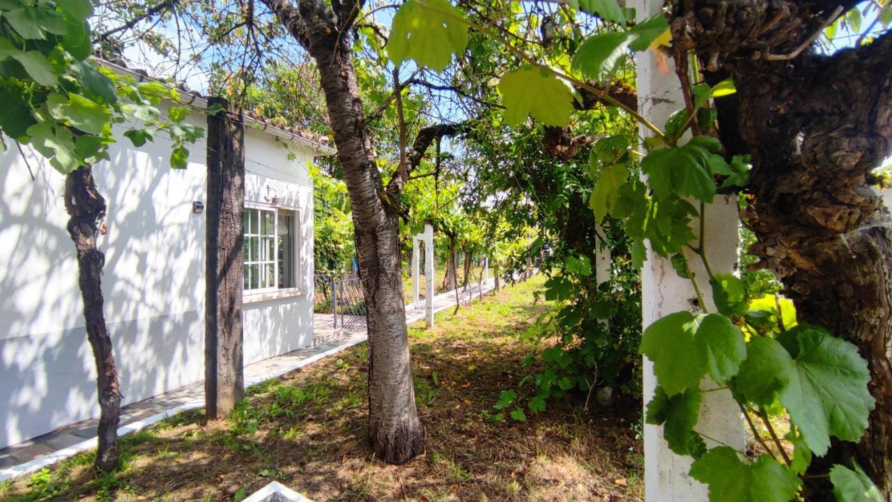 Villa Morin Grey casa en el corazón de la Ribeira Sacra Monforte De Lemos Exterior foto